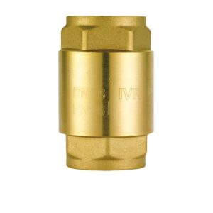 199940100 Valvola di ritegno tipo pesante con otturatore in acciaio inox 4" IVR
