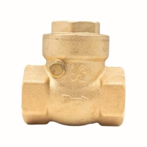 20425 Valvola Ritegno A Clapet 2" Ferrari - immagine 1