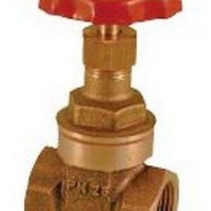 200040 Saracinesca in bronzo tipo extra pesante F x F 1 1/2" RASTELLI