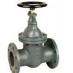 266040 Saracinesca in ghisa corpo ovale PN DN 40 RASTELLI