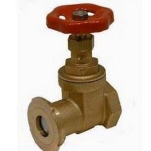 D27025 Saracinesca in ottone per pompe con valvola di ritegno 1" RASTELLI