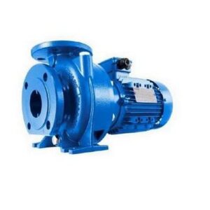 101843350 NSCE Elettropompa centrifuga in ghisa ad aspirazione assiale LOWARA - immagine 1