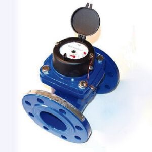 WI009915 Contatore d'acqua a mulinello Woltmann WIRF/300 GIOANOLA