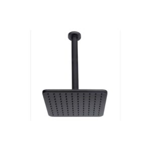 H30597G00073009 Soffione con braccio doccia verticale 230X230 COSMO BOSSINI - immagine 1