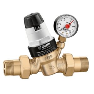 535090H Riduttore di pressione con cartuccia estraibile 2" e attacco manometro 1/4" F CALEFFI