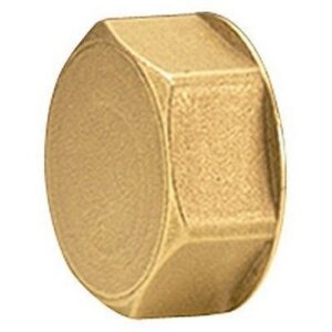 R594 Tappo attacco femmina per collettori R594Y005 3/4" - 3/4"E GIACOMINI - immagine 1