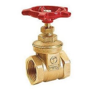 R55 Saracinesca con attacchi F R55Y005 1" GIACOMINI - immagine 1