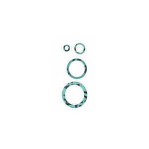 520A12 GUARNIZIONI ECOLOGICHE 1/2 100PZ ZAGI - immagine 1