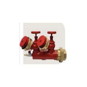 GM191LVE Dry Risen Inlet Attacco Di Mandata Per Autopompa 2"1/2 X 1 MANFREDI - immagine 1