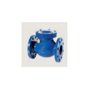 VR003WSA Valvola Di Ritegno Clapet Ghisa S6 - Dn100 MANFREDI